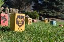 Kingdoms Lawn Game
